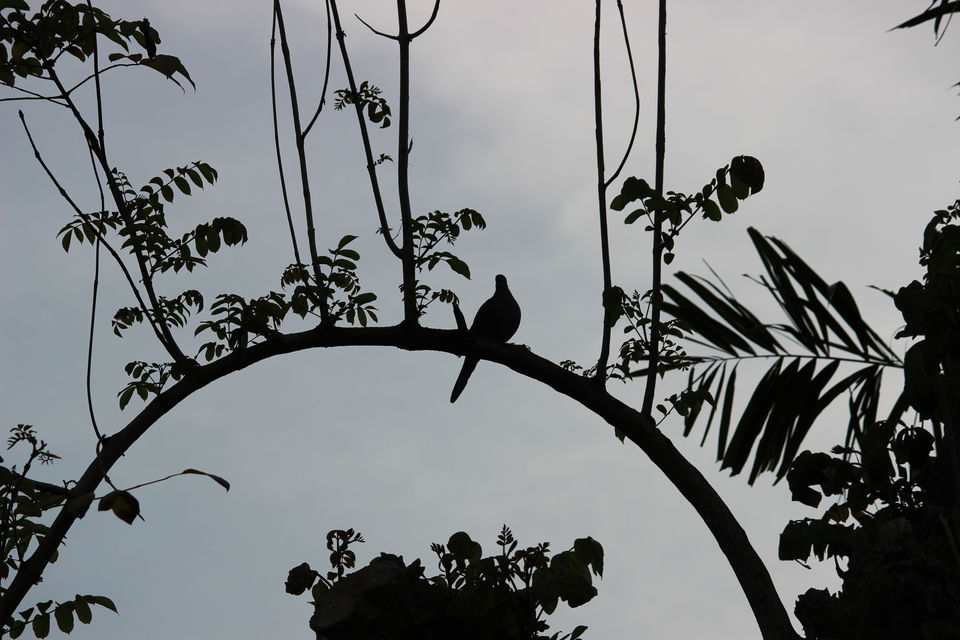 Photo of Bali, Indonesia by Shilpa Singh Bhargava