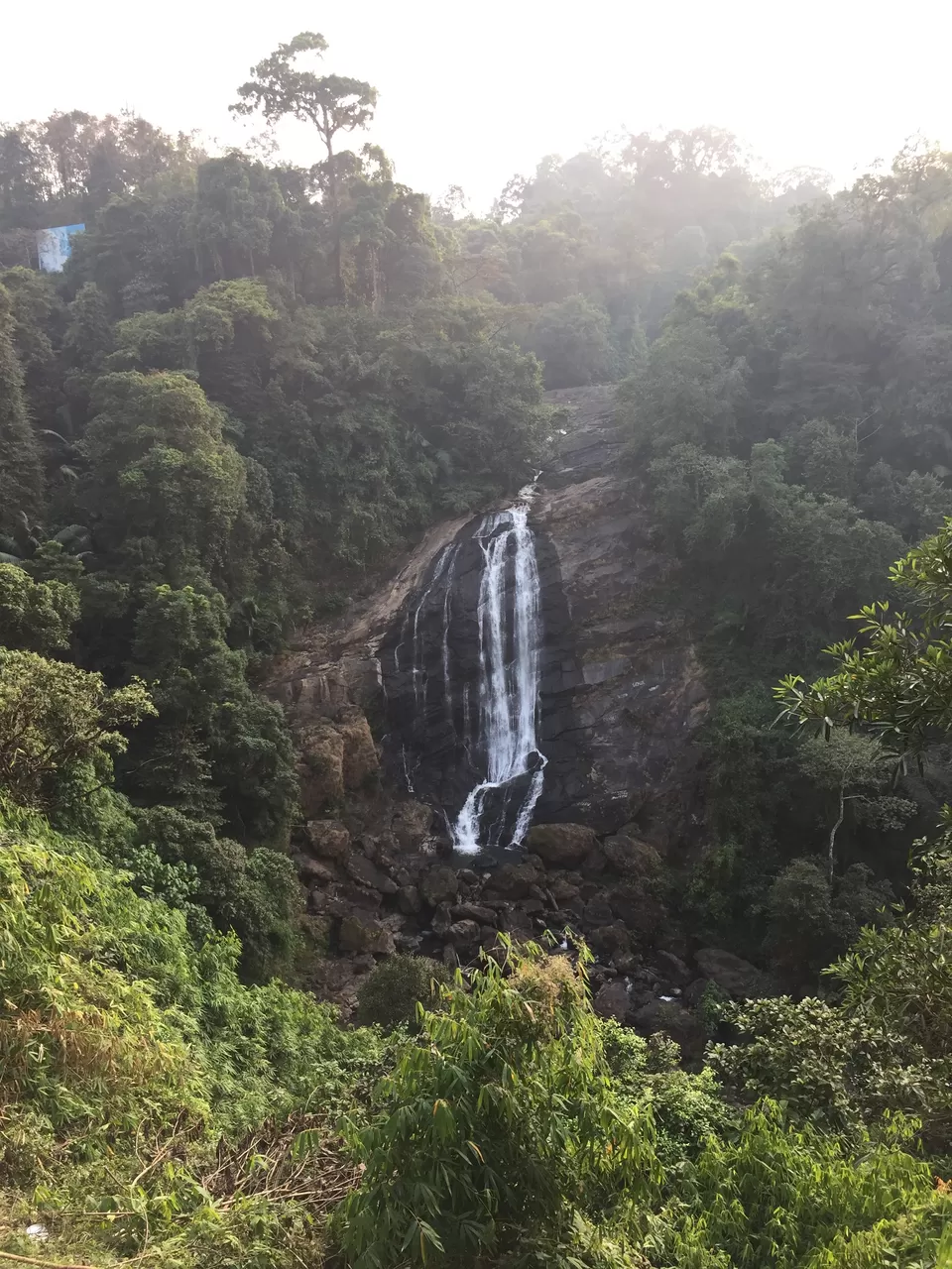 Photo of Munnar, Kerala, India by Dr.Rohan SP.