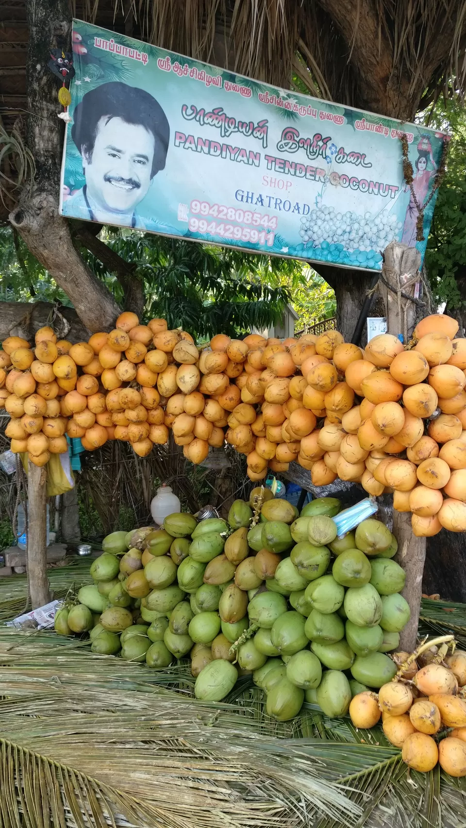 Photo of Tamil Nadu, India by Dr.Rohan SP.