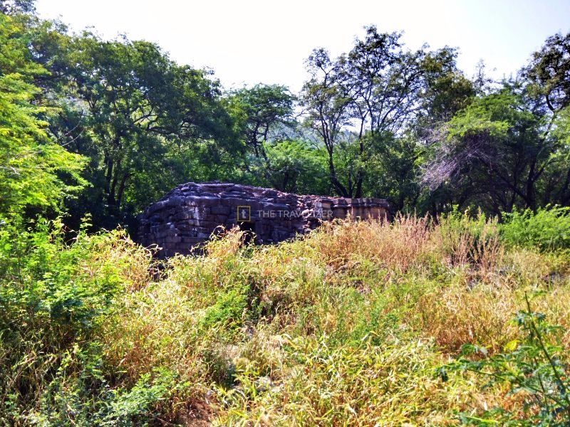 Photo of Lonar Lake, Maharashtra by The Travelizer