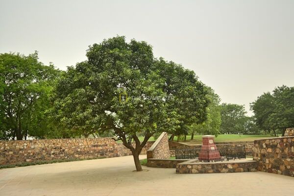 Photo of Panipat, Haryana, India by The Travelizer