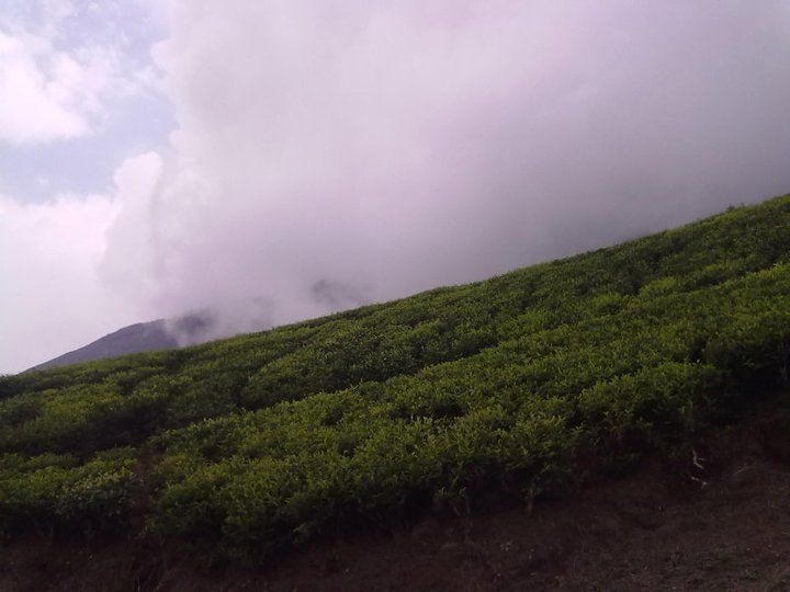 Photo of Long Ride To Beautiful Place 5/7 by vlas MP