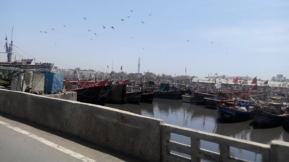 Photo of Junagadh by Meghana Desai