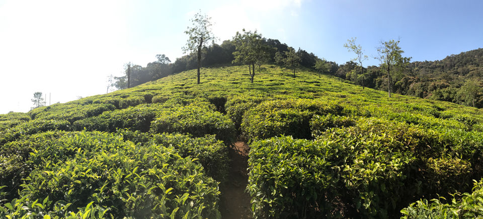 Photo of Queen of Hills : Udhagmandalam ~ Ooty by Saurabh Bagakar
