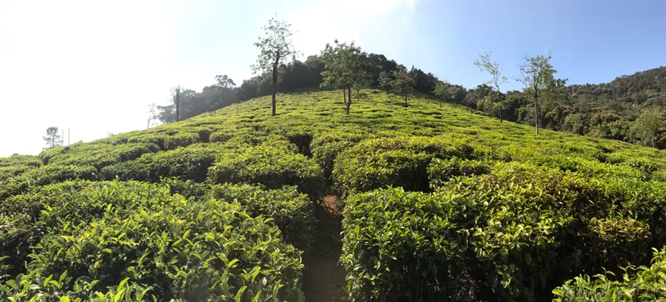 Photo of Coonoor, Tamil Nadu, India by Saurabh Bagakar