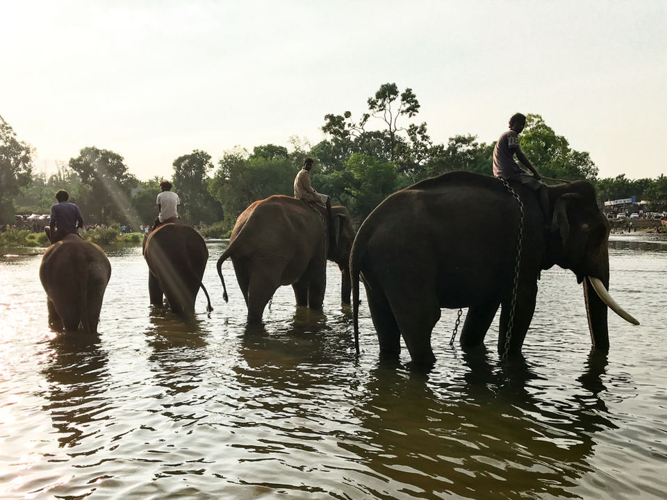 Photo of Scotland in India : Coorg by Saurabh Bagakar