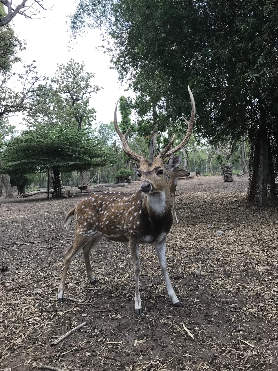 Photo of Nisargadhama, Karnataka by Saurabh Bagakar
