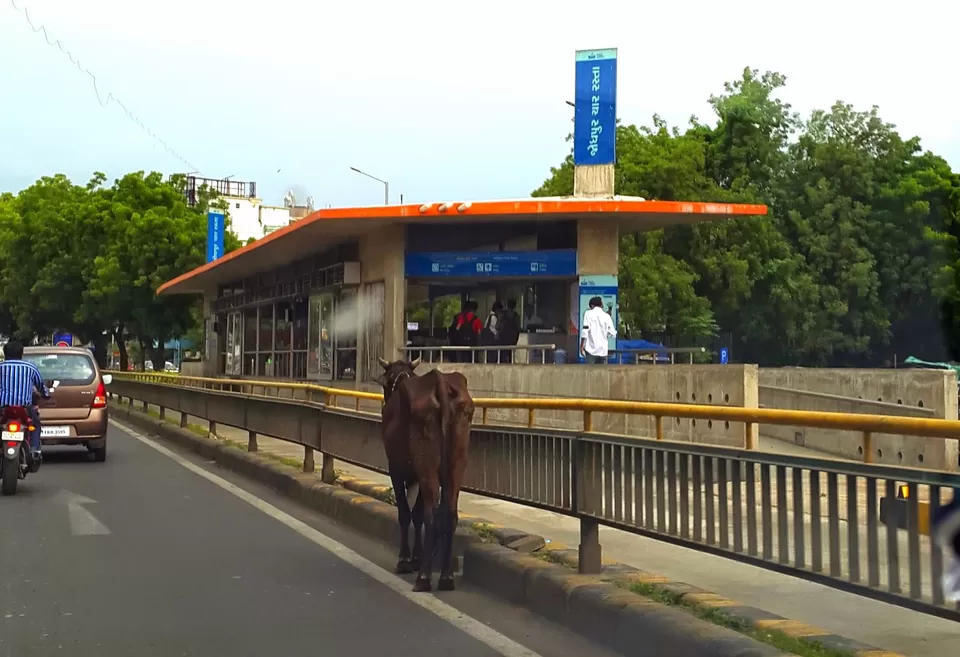 Photo of BRTS, Lala Lajpat Rai Marg, Maninagar, Ahmadabad, Gujarat, India by Siddhesh Bhobe