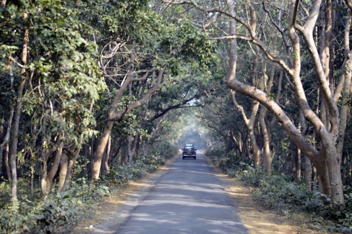 Photo of Delhi to Dudhwa: Wilderness Along the Borders by Suvro Banerjee