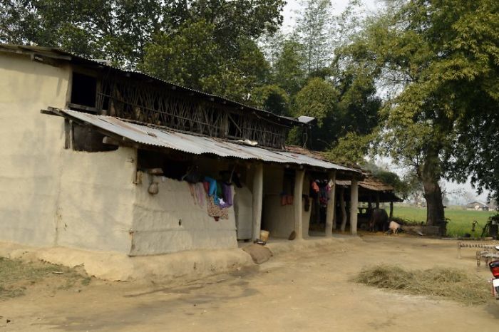 Photo of Delhi to Dudhwa: Wilderness Along the Borders by Suvro Banerjee