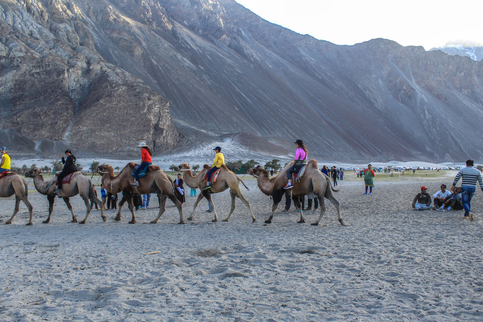 Photo of Leh'd in Ladakh - Solo Ride to Heaven 79/100 by Santosh Suresh Jain