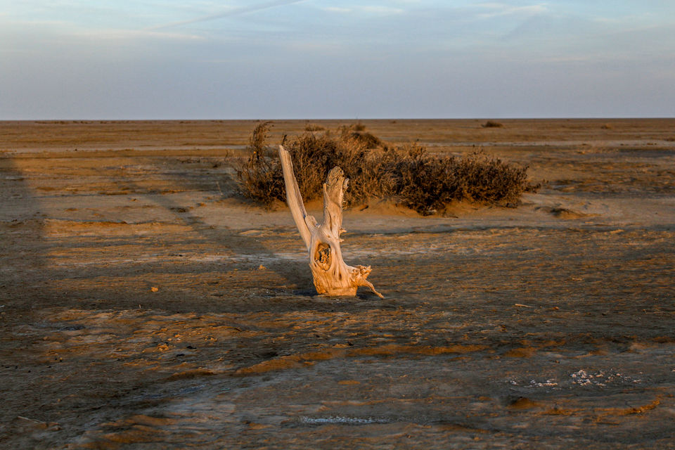 Photo of Rann Of Kutch - Where Blue Sky meets White Desert by Santosh Suresh Jain