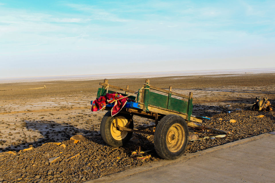 Photo of Rann Of Kutch - Where Blue Sky meets White Desert by Santosh Suresh Jain