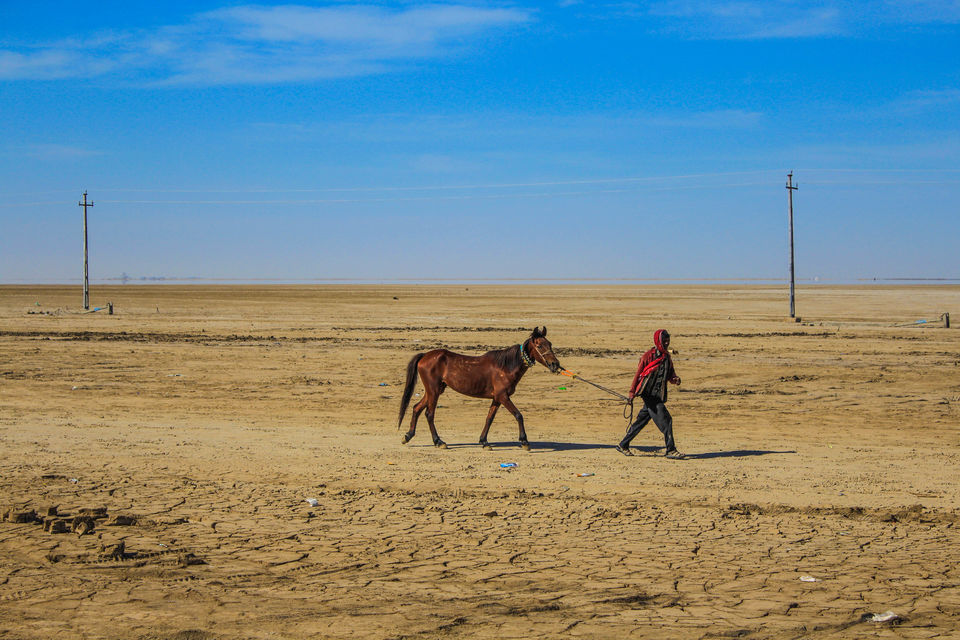 Photo of Rann Of Kutch - Where Blue Sky meets White Desert by Santosh Suresh Jain