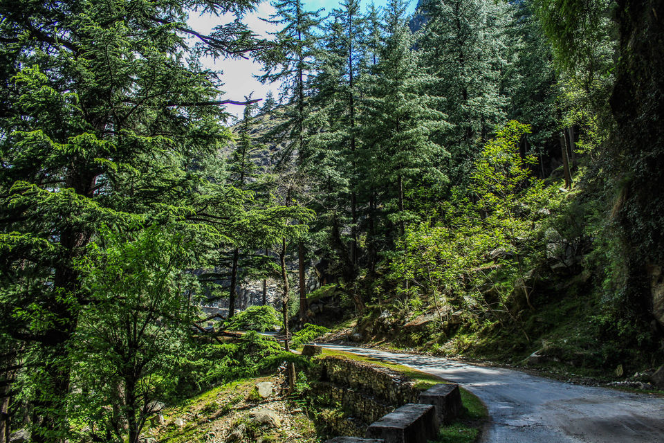 Photo of Malana - 'HASH'Tag Himachal 51/56 by Santosh Suresh Jain