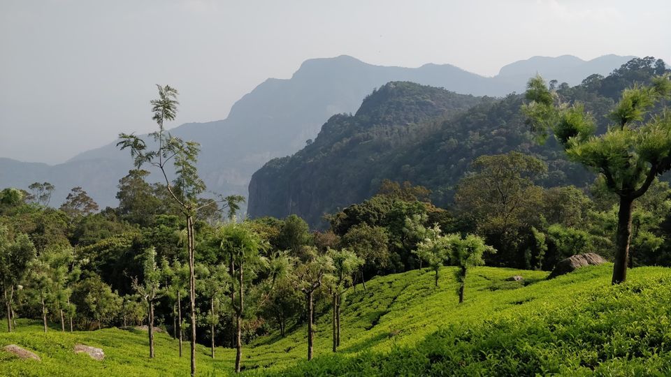 Photo of Ooty: The Queen of Niligiris-48 hour guide by Hari Chandu Vakacharla