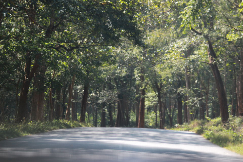 Photo of Wayanad, Kerala, India by Yuvan Kumar