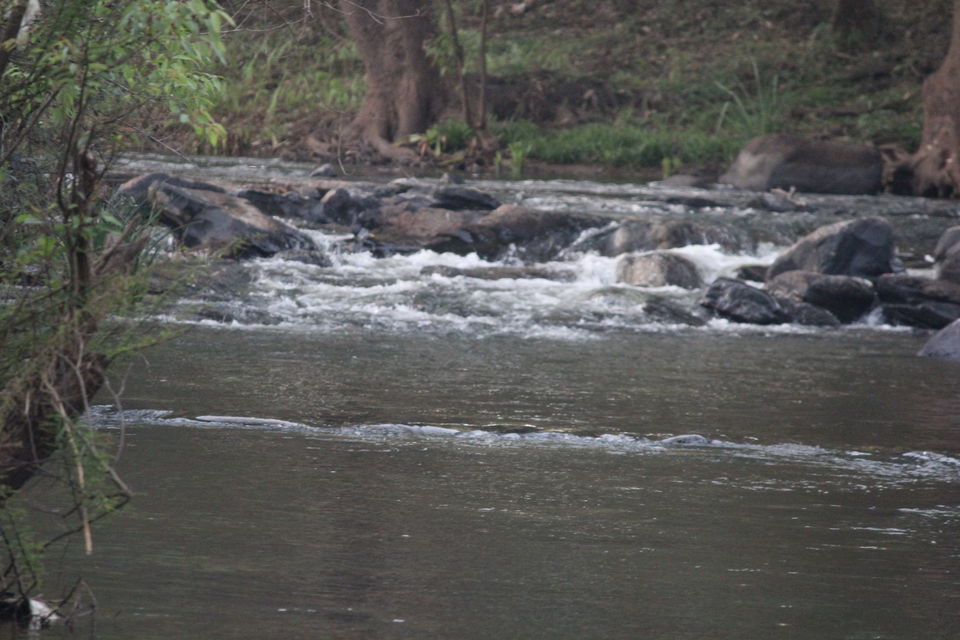 Photo of Nisargadhama, Kodagu, Karnataka, India by Yuvan Kumar