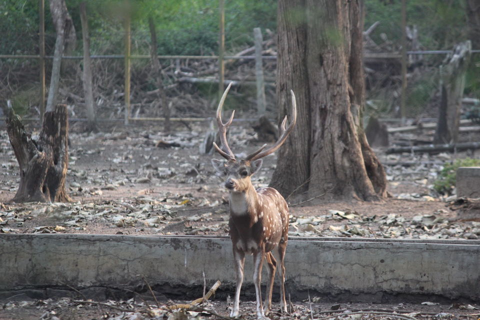 Photo of 3 Days, 2 States ( Bengaluru, Wayanad & Coorg). by Yuvan Kumar
