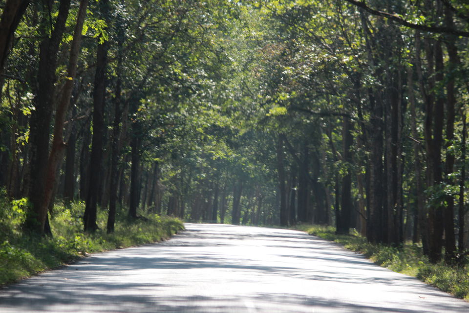 Photo of 3 Days, 2 States ( Bengaluru, Wayanad & Coorg). by Yuvan Kumar
