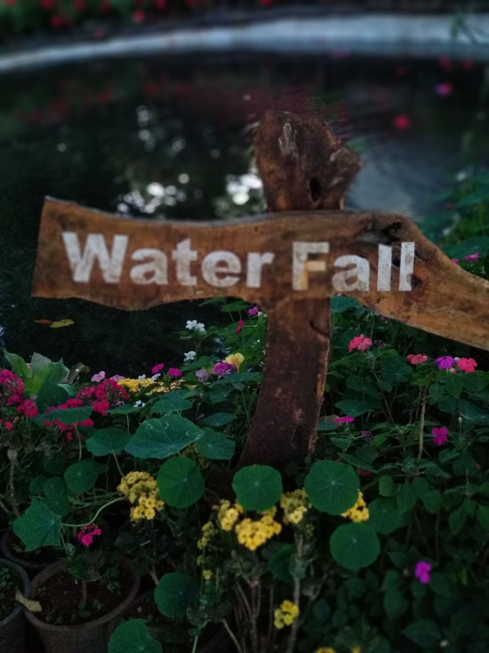 Photo of Road trip to Mahabaleshwar - Panchgani Day 2 & 3 by Yuvan Kumar