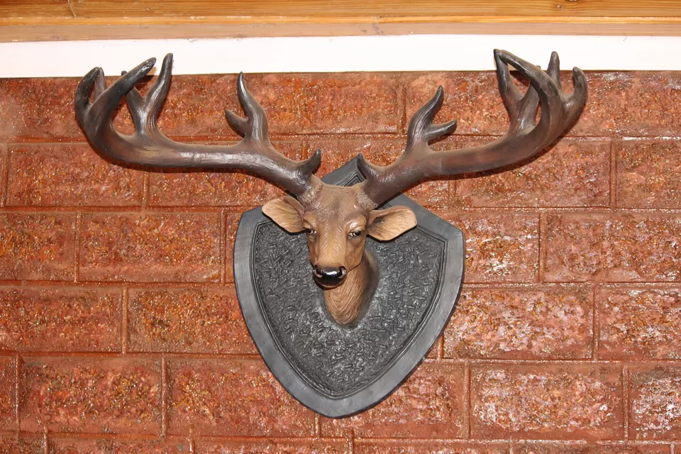 Photo of Pure Gold™ Cheese Factory, Panchgani - Mahabaleswar Road, Bhose, Maharashtra, India by Yuvan Kumar