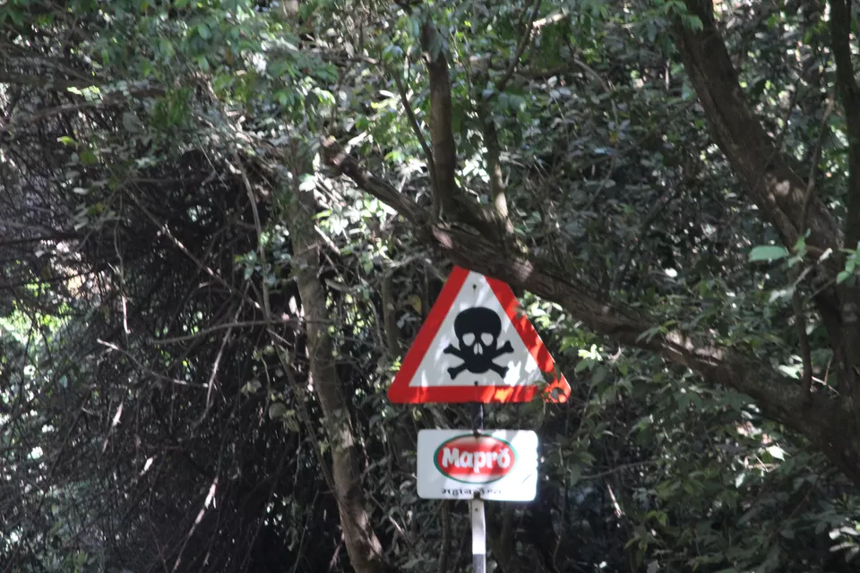 Photo of Lodwick Point Mahabaleshwar, Mahabaleshwar, Maharashtra, India by Yuvan Kumar