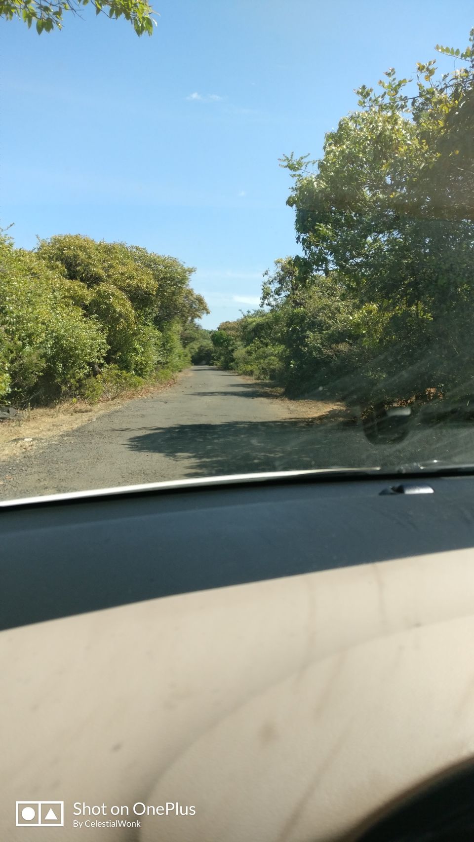 Photo of Road trip to Mahabaleshwar - Panchgani Day 2 & 3 by Yuvan Kumar