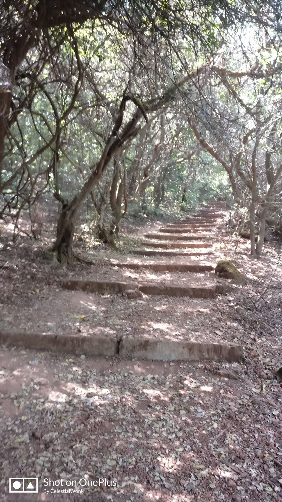 Photo of Road trip to Mahabaleshwar - Panchgani Day 2 & 3 by Yuvan Kumar