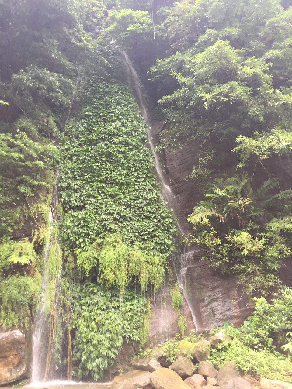 Photo of Best trip to Sikkim<>Meghalaya from Hyderabad Part IV :) 31/41 by Yuvan Kumar