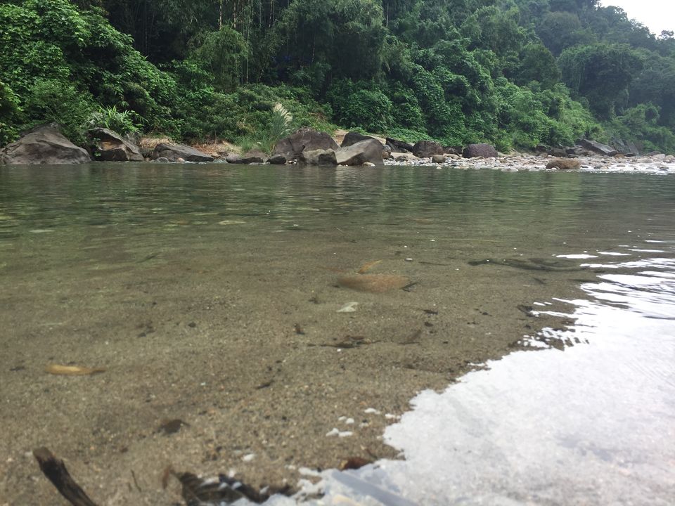 Photo of Best trip to Sikkim<>Meghalaya from Hyderabad Part IV :) 39/41 by Yuvan Kumar