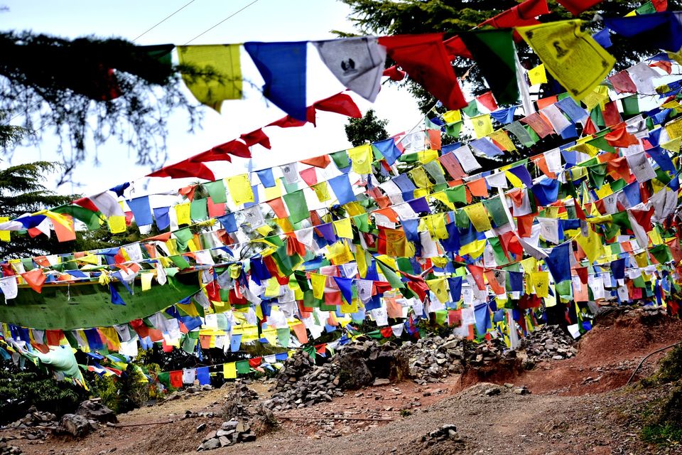 Photo of Solo Trip to McLeod Ganj #tripobug by Yuvan Kumar