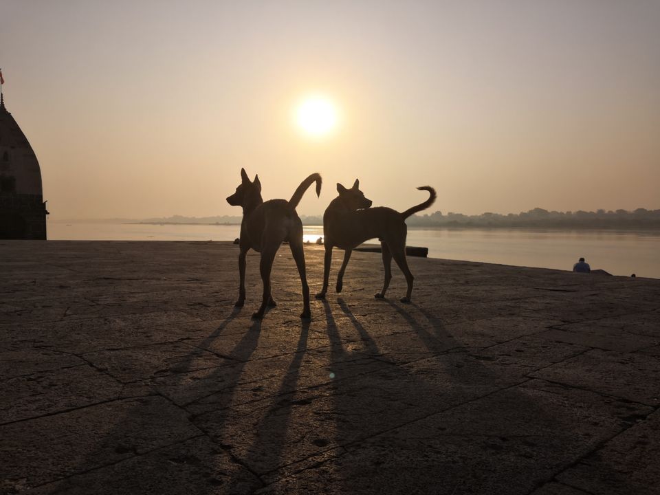 Photo of Maheshwar. Hidden Gem of MP by The Part-time Wanderer