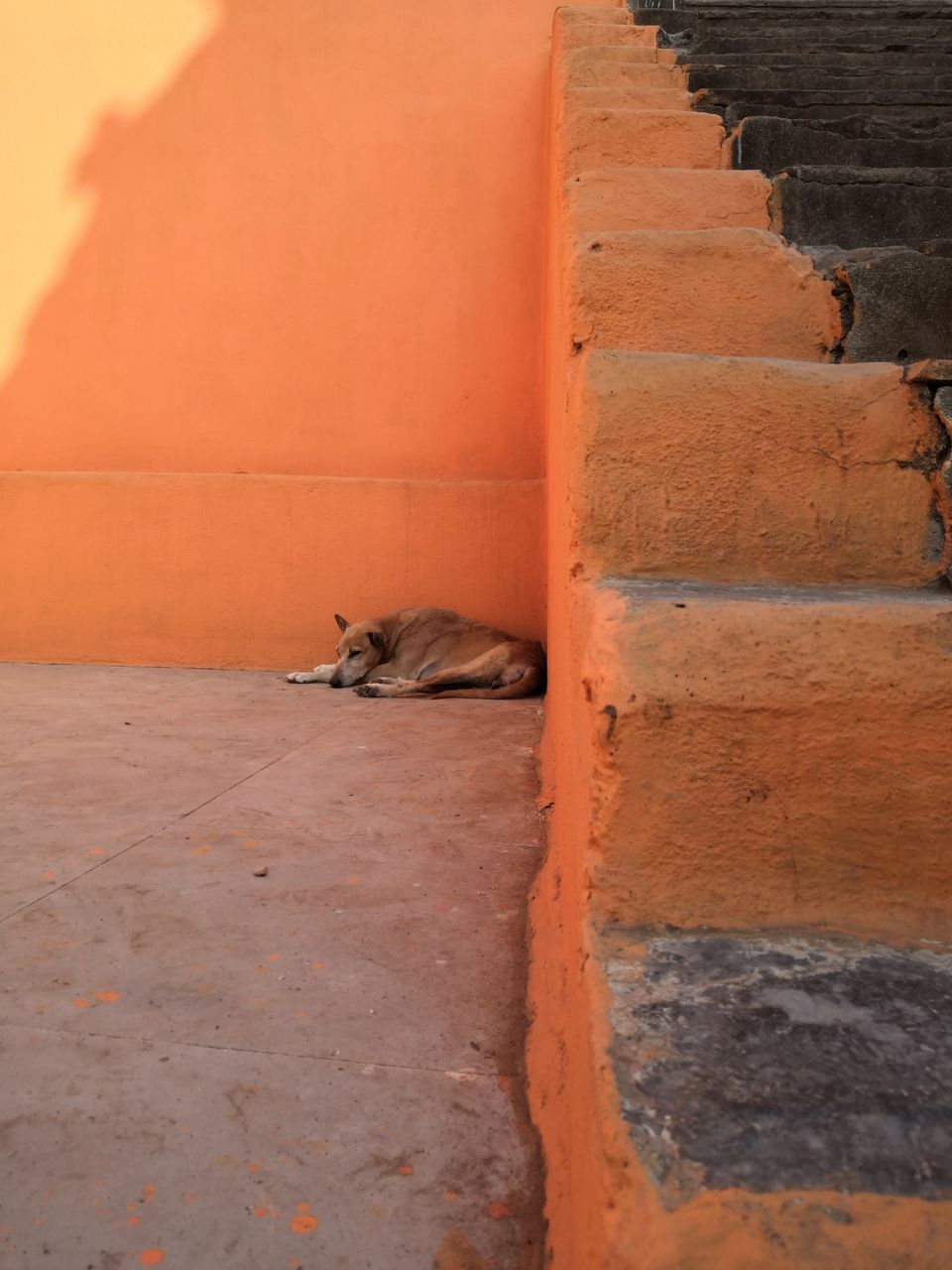 Photo of Maheshwar. Hidden Gem of MP by The Part-time Wanderer