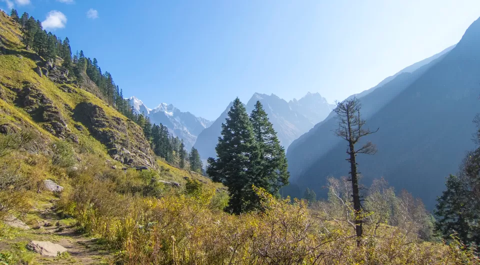 Photo of Govind Pashu Vihar National Park and Sanctuary, Supin Range, Uttarakhand, India by Tenny