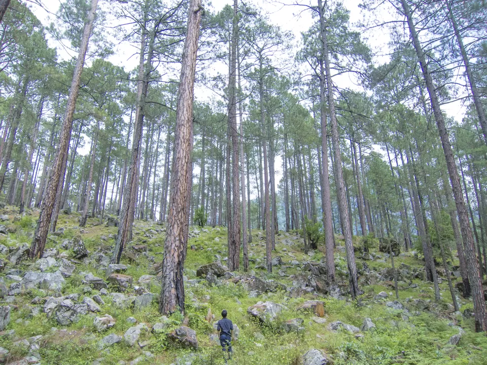 Photo of Kasol, Himachal Pradesh, India by Tenny