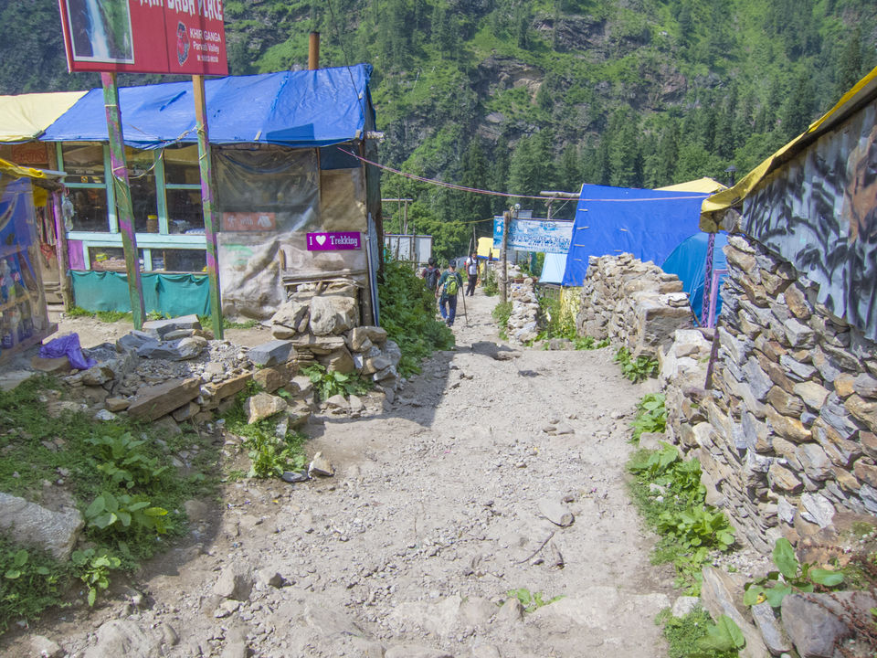 Photo of A solo guide to Kheerganga Trek by Tennyson Ck