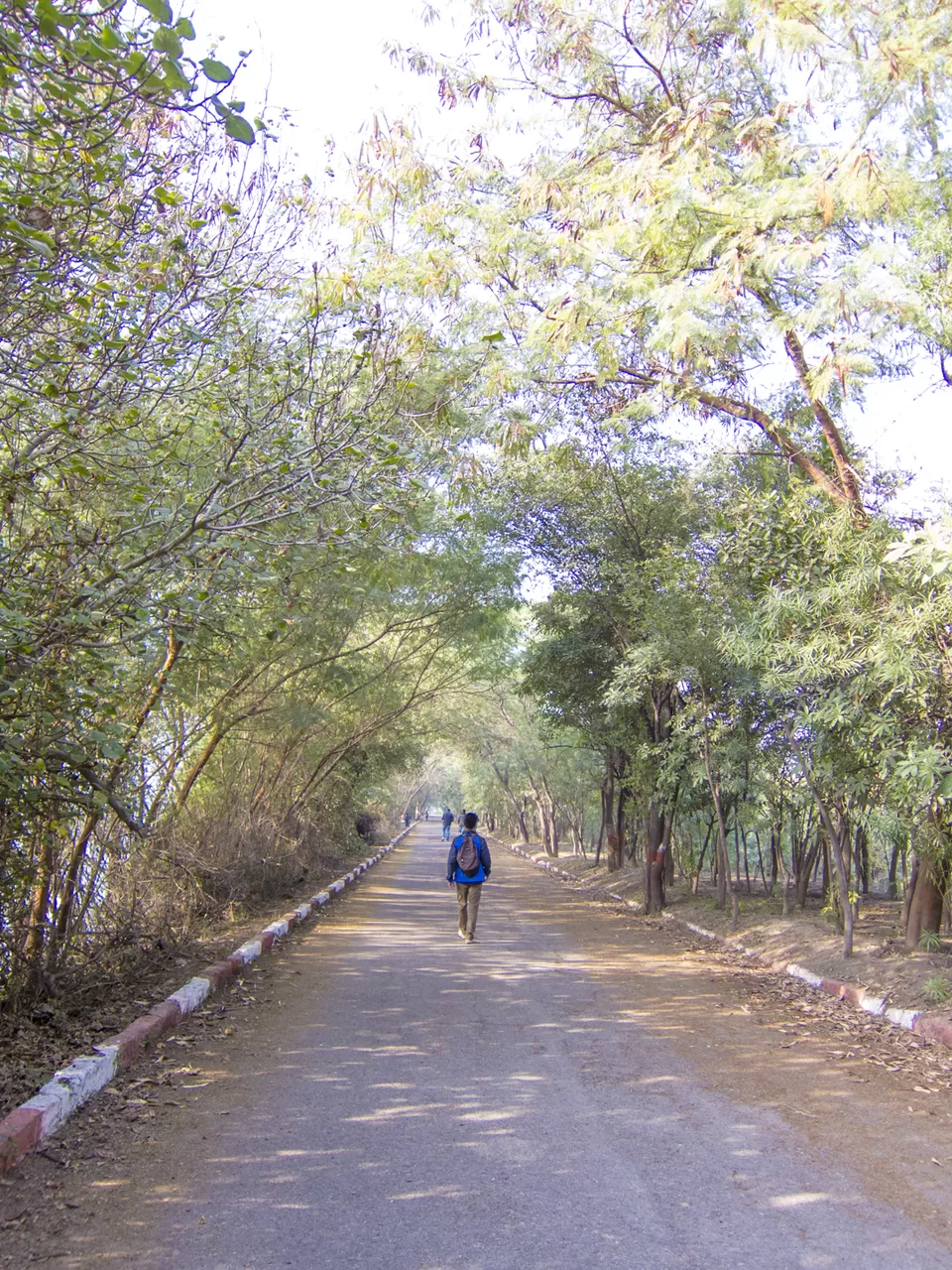 Photo of Okhla Bird Sanctuary, Sector 95, Noida, Uttar Pradesh, India by Tenny