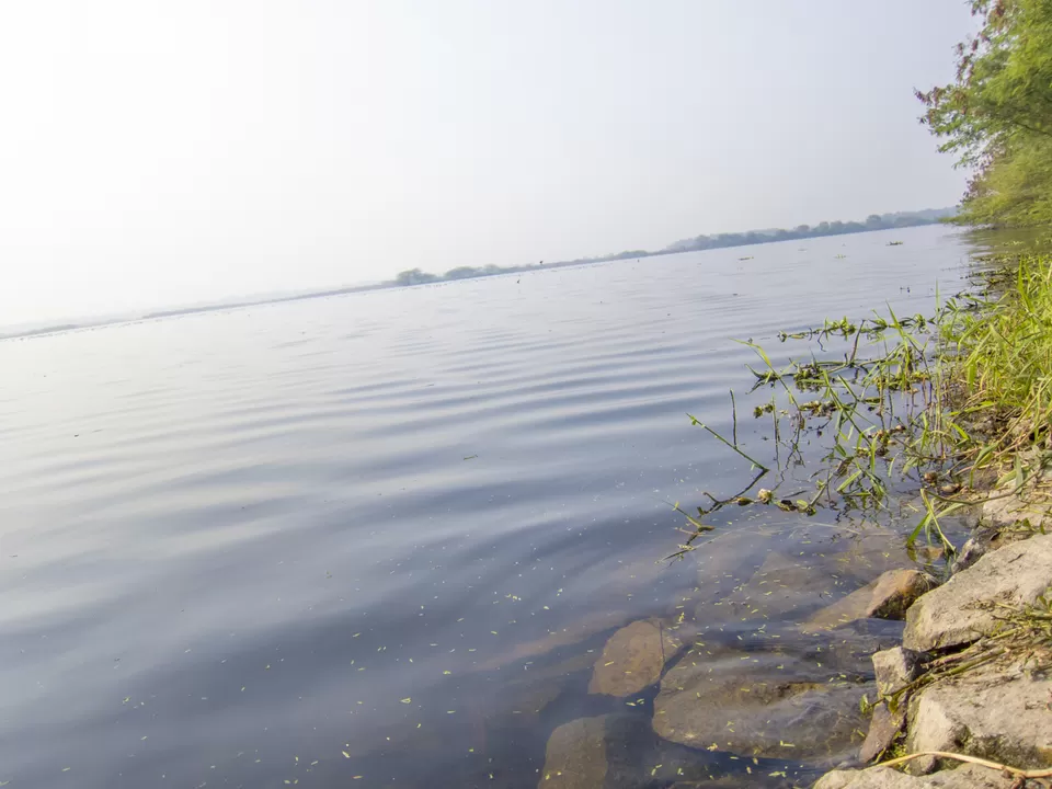 Photo of Okhla Bird Sanctuary, Sector 95, Noida, Uttar Pradesh, India by Tenny