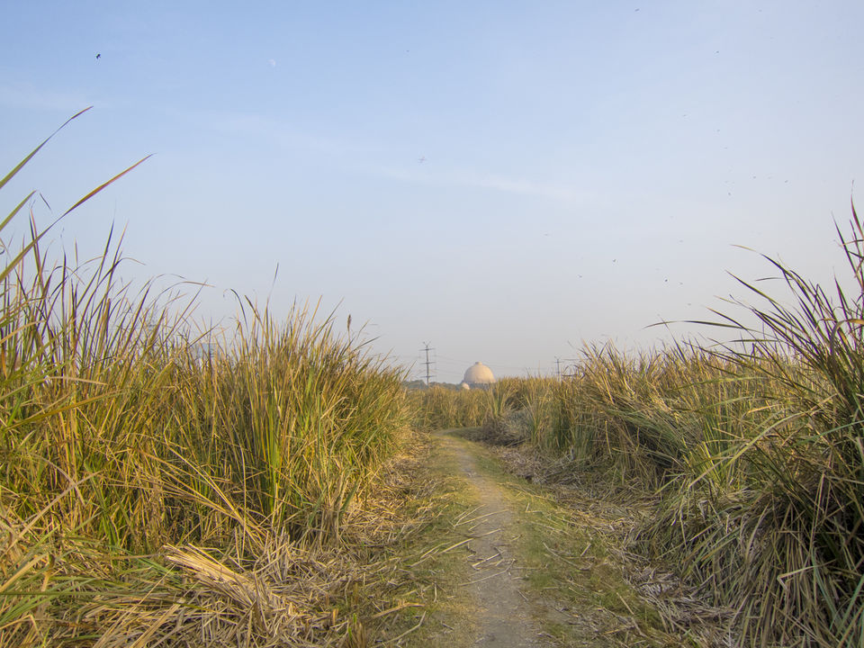 Photo of Okhla Bird Sanctuary, Sector 95, Noida, Uttar Pradesh, India by Tenny