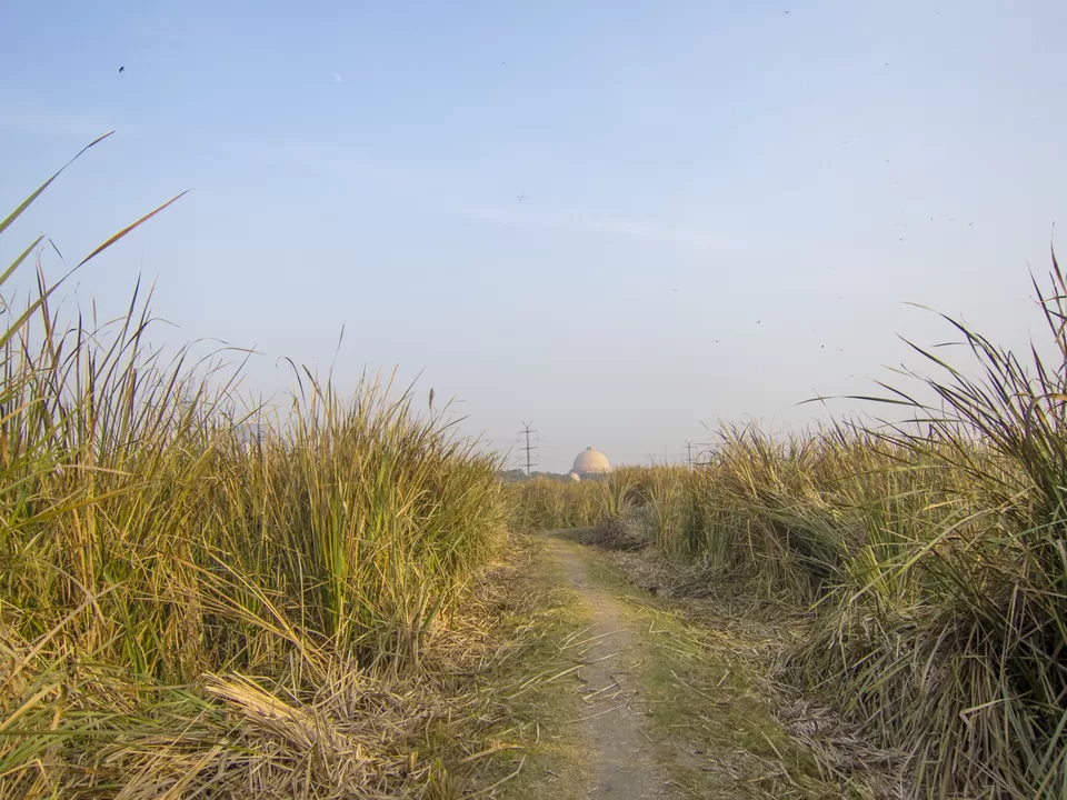 Photo of Okhla Bird Sanctuary, Sector 95, Noida, Uttar Pradesh, India by Tenny