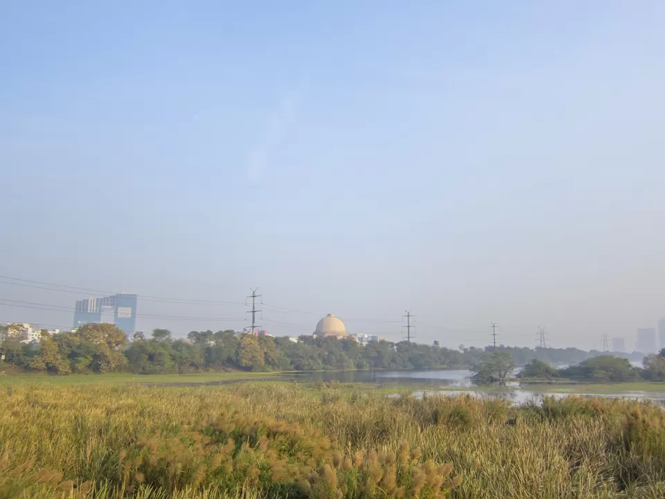 Photo of Okhla Bird Sanctuary, Sector 95, Noida, Uttar Pradesh, India by Tenny