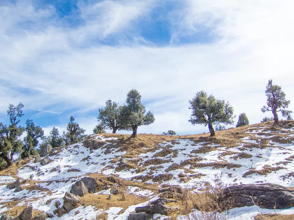 Photo of Pantwari, Uttarakhand, India by Tenny