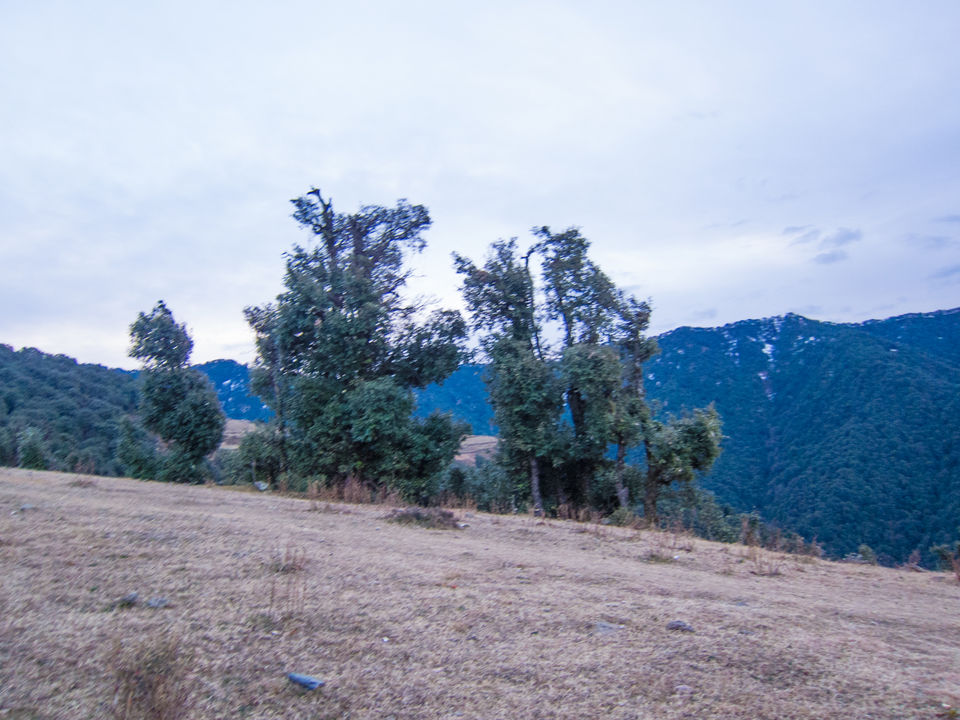 Photo of Nag Tibba- an unfinished Trek by Tenny