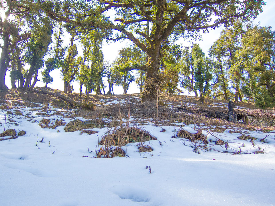 Photo of Nag Tibba- an unfinished Trek by Tenny