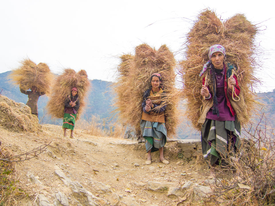 Photo of Nag Tibba- an unfinished Trek by Tenny