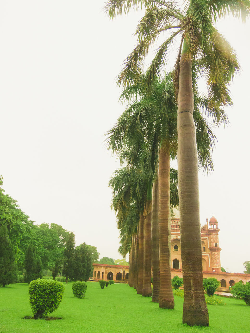 Photo of Safdarjung Tomb, Airforce Golf Course, Delhi Race Club, New Delhi, Delhi, India by Tenny