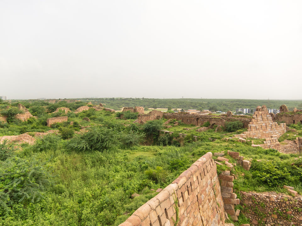 Photo of You will love Tughlaqabad fort in Delhi if you are a fan of History 13/14 by Tenny