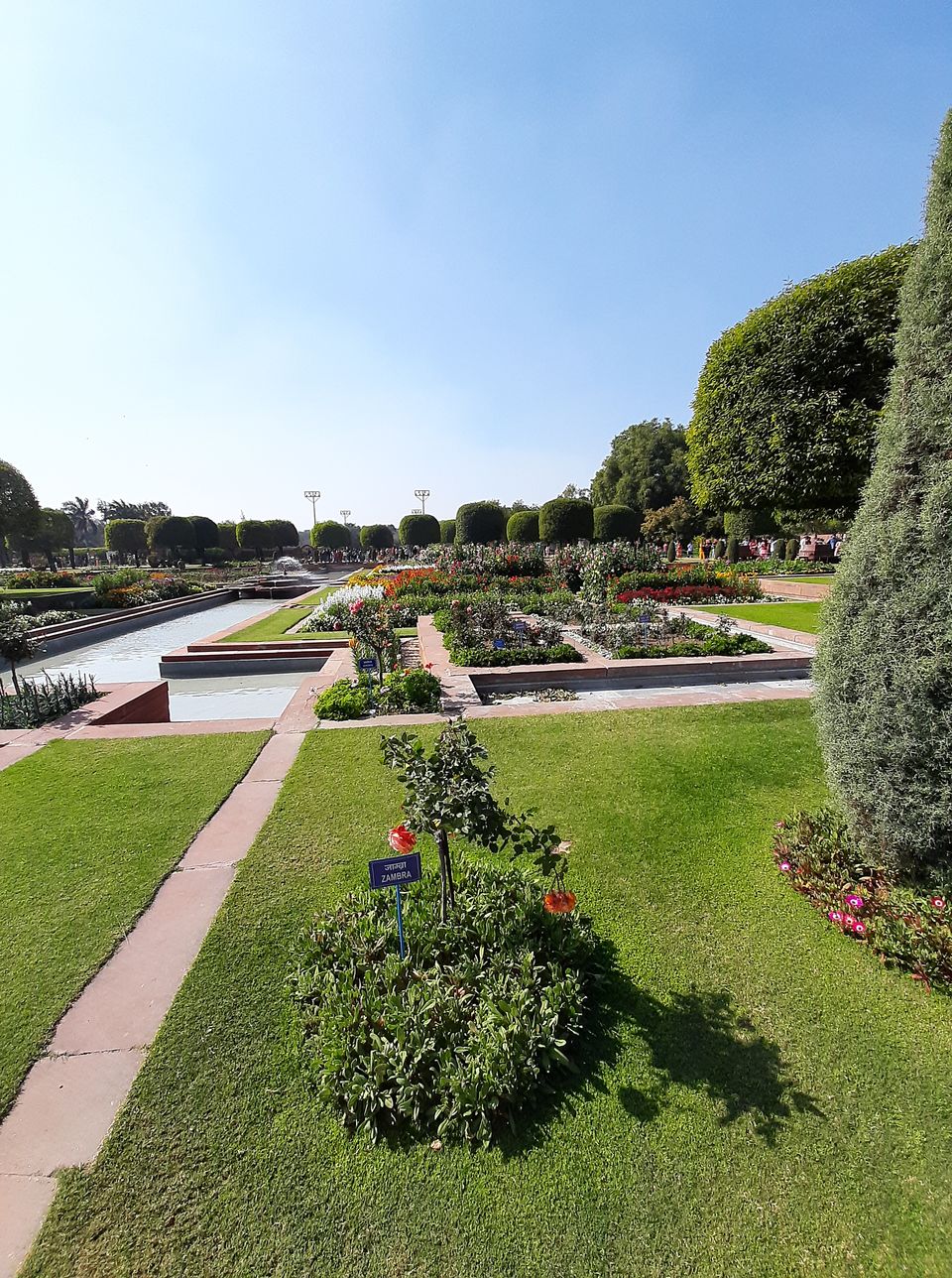 Photo of Mughal Gardens, Rashtrapati Bhawan, President's Estate, New Delhi, Delhi, India by Tenny
