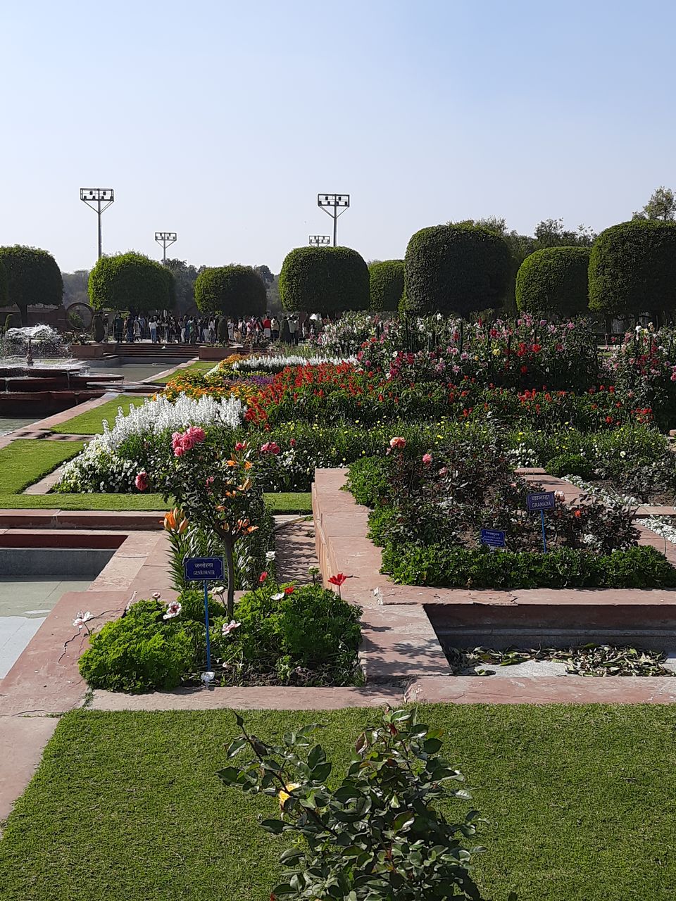Photo of Mughal Gardens, Rashtrapati Bhawan, President's Estate, New Delhi, Delhi, India by Tenny